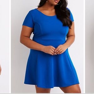 Plus size scoop neck skater dress